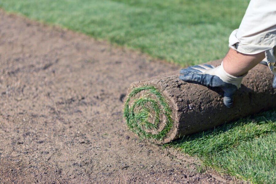 10DUDAblog1_rolled-up-sod-grass-being-rolled-out-900x600